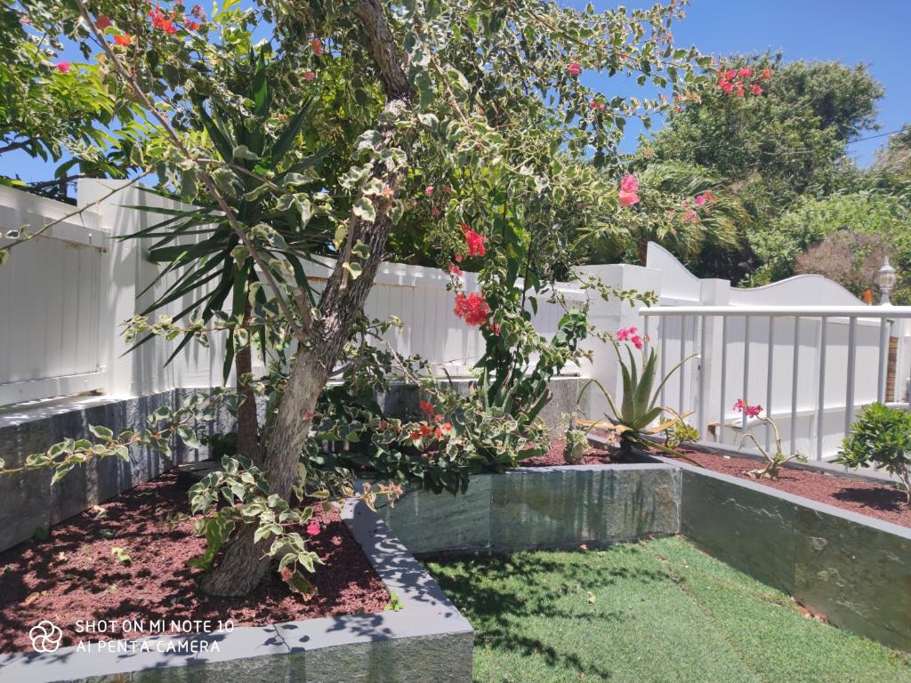villa Areca photo 3