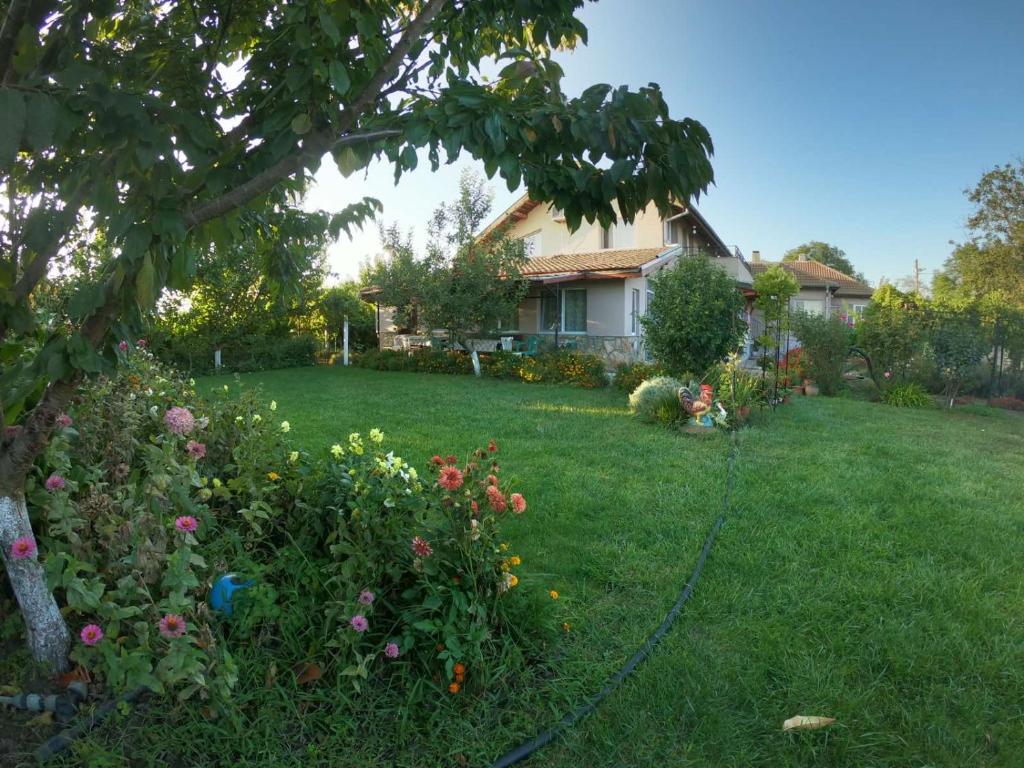 Guest House Ezerets photo 4