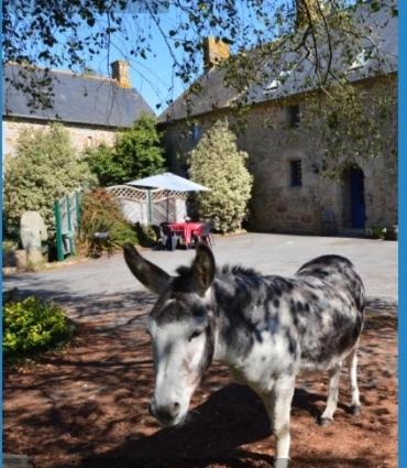 La campagne Bretonne photo 2