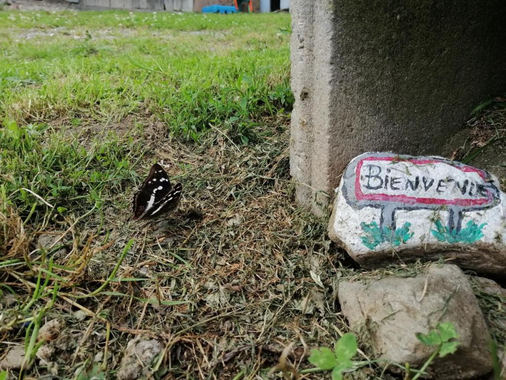 Les Locations de Stéphanie ,Gite Le Verger photo 1