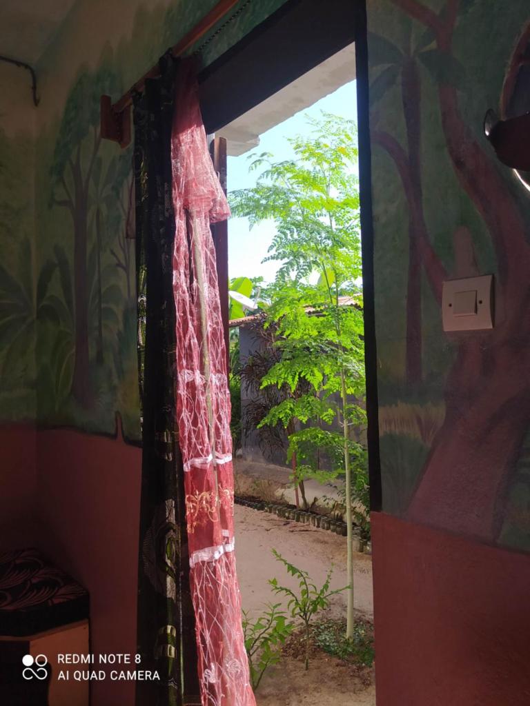 Chez Yaya - Chambre Brousse photo 2