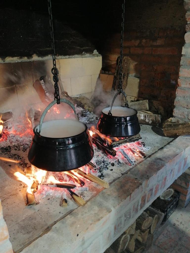 Apartman Kalinka photo 3