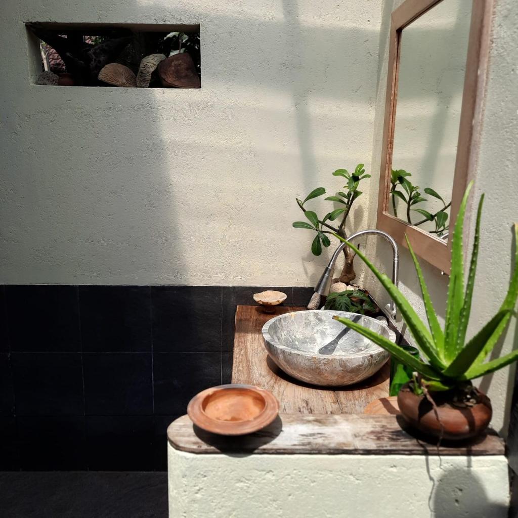 Harry's Ocean House Pacitan photo 3