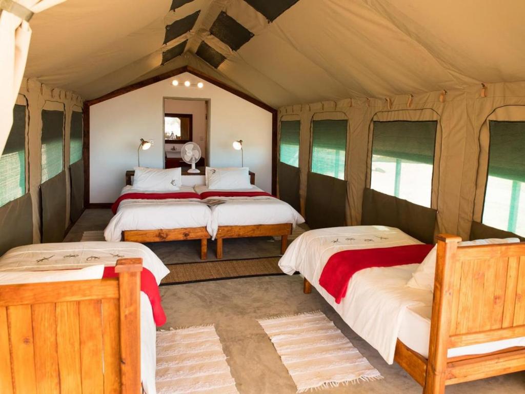 Namib Desert Camping2Go photo 2