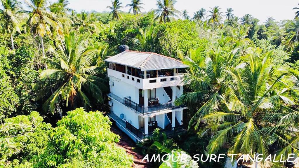 Amour Surf photo 4