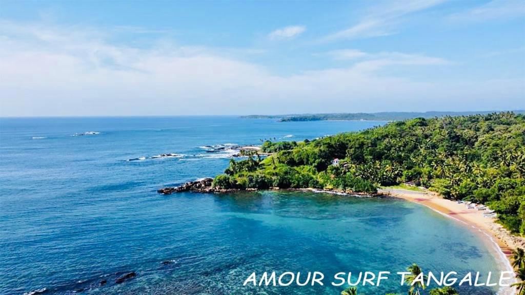 Amour Surf photo 3