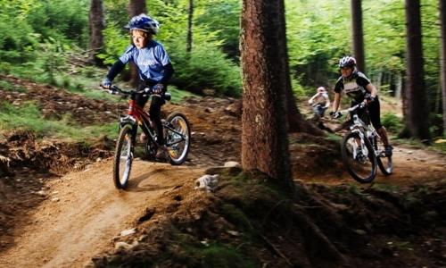 BIKE HAVEN - jacuzzi - mountain biking and hiking photo 2