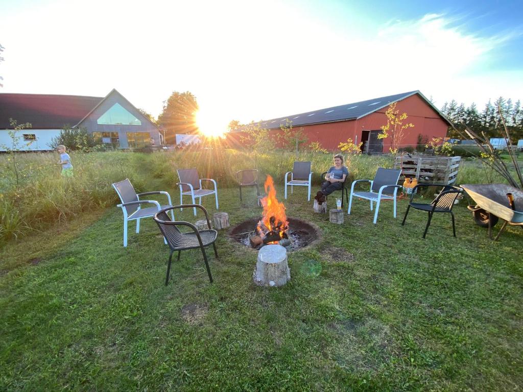 Billund-BnB ApS photo 2