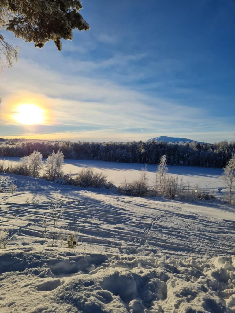 Sonfjällscampen photo 2