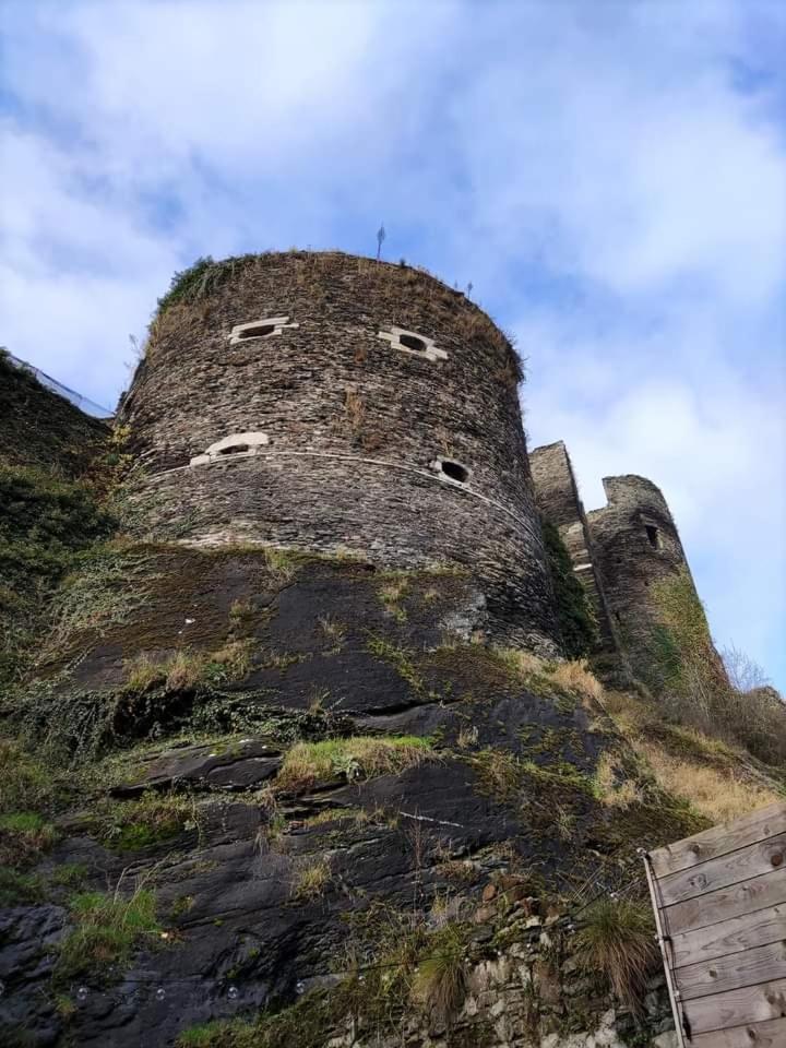 La Roche ô Tour! - Gîte citadin photo 3