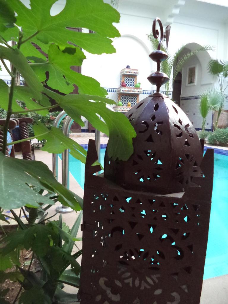 Riad Dar Moulay Ali photo 4