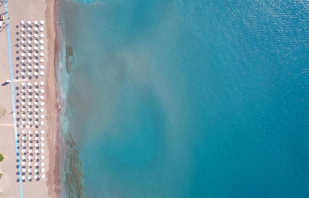 Apollo Blue photo 1