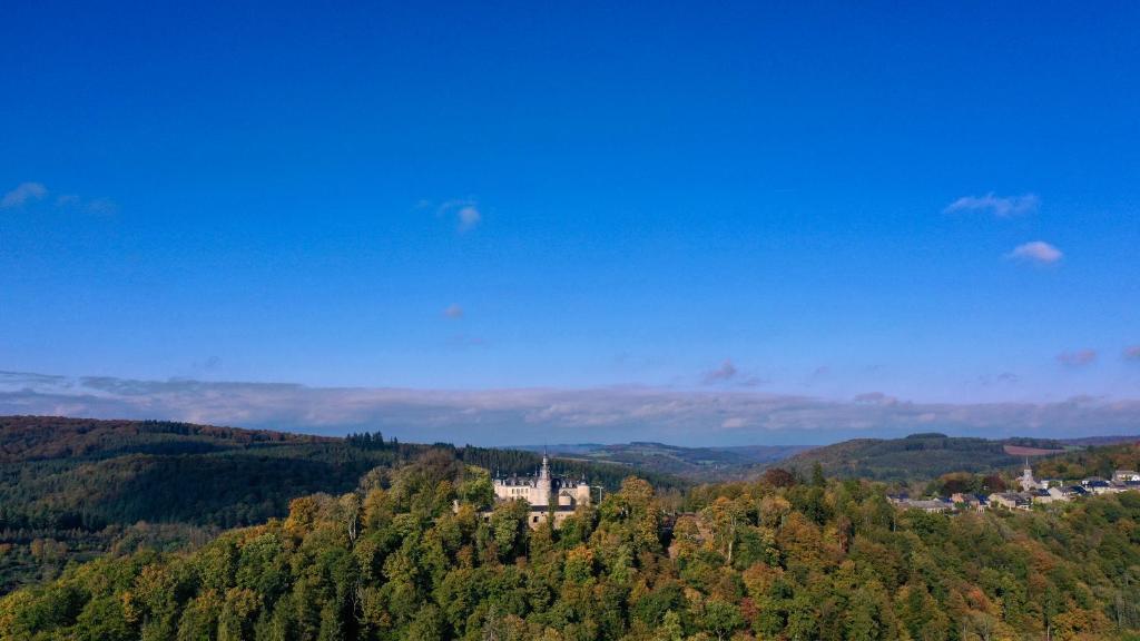 Le Château de Mirwart photo 1