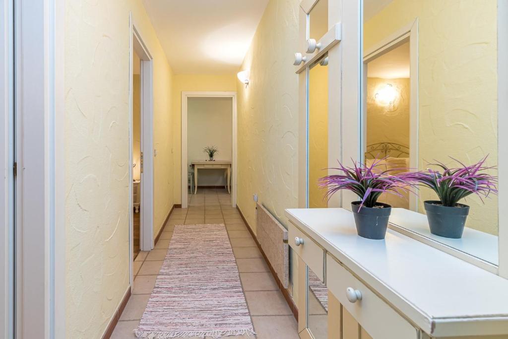 Apartments Sbardella photo 1