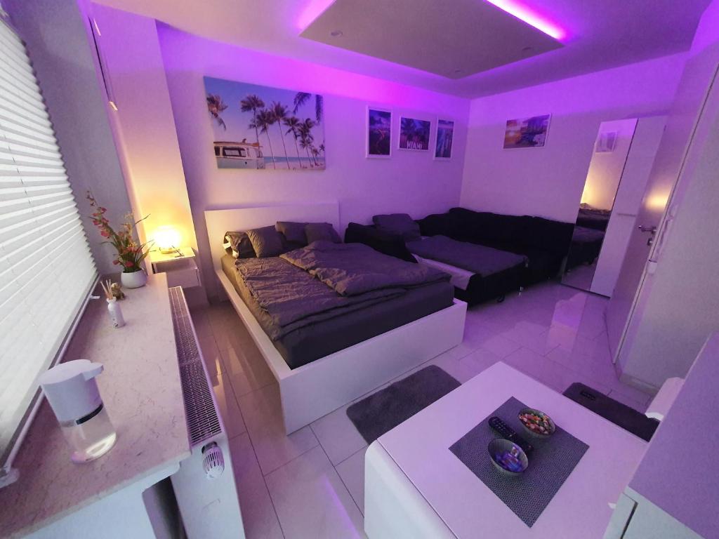 Miami Apartment photo 2