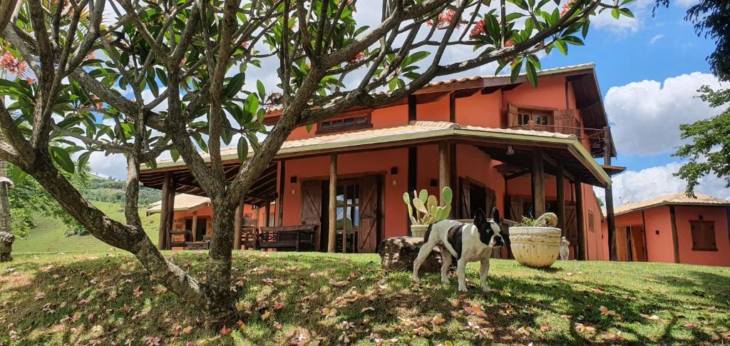 Ellementares Guest House photo 1