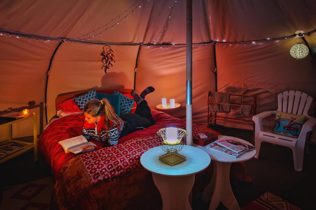 Mt Gold Glamping photo 1