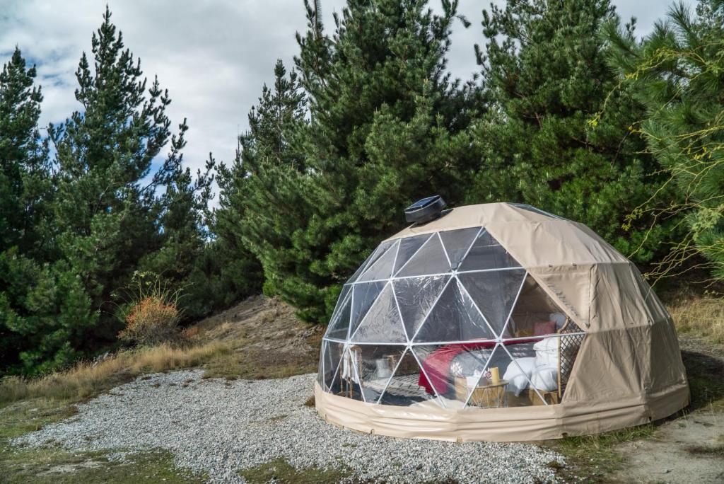 Mt Gold Glamping photo 3