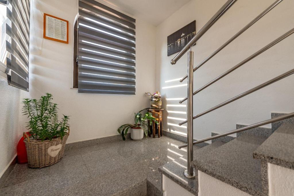 Apartments Roje photo 4