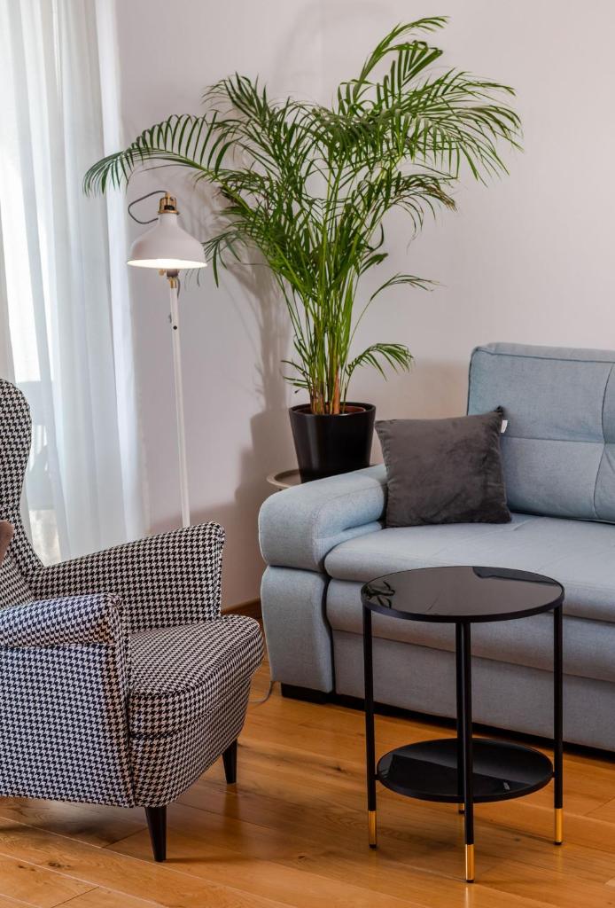 SOLU Apartment photo 3