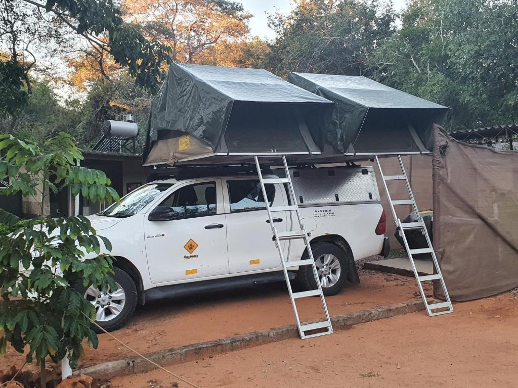Victoria Falls Backpackers Lodge- Camp Sites photo 4