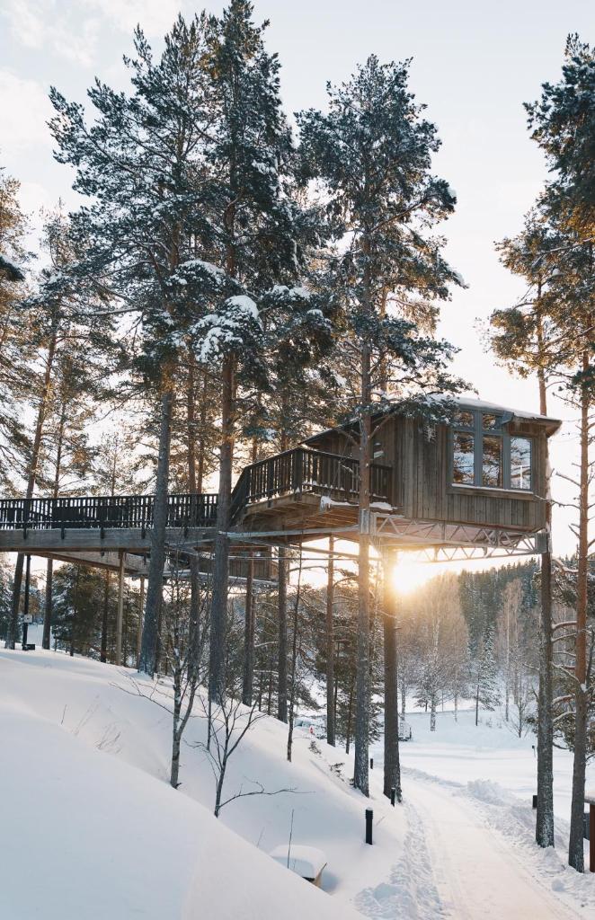 Granö Beckasin photo 1