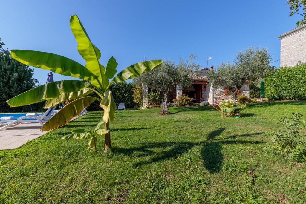 Holiday Home Tamaris with Pool photo 4