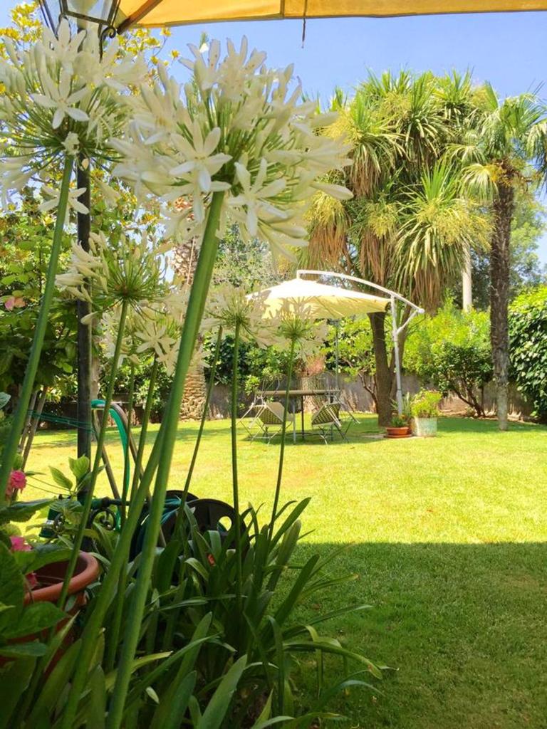 2 bedrooms appartement with private pool enclosed garden and wifi at Ragalna photo 2