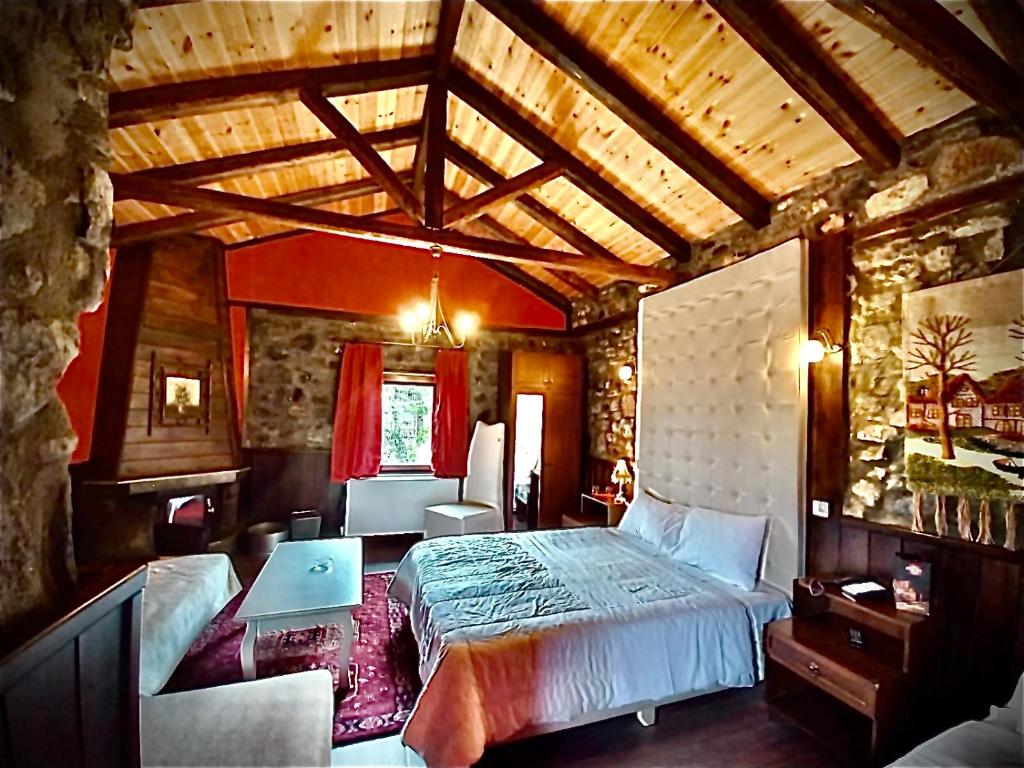 Chalet Asteras tou Vorra photo 4