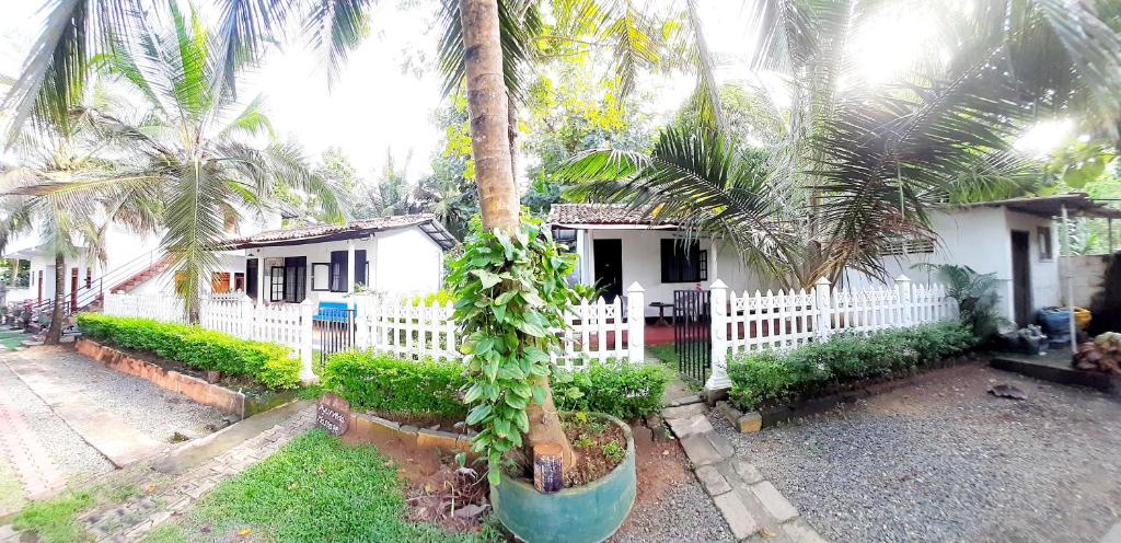 Hiriketiya Cinnamon Garden photo 2