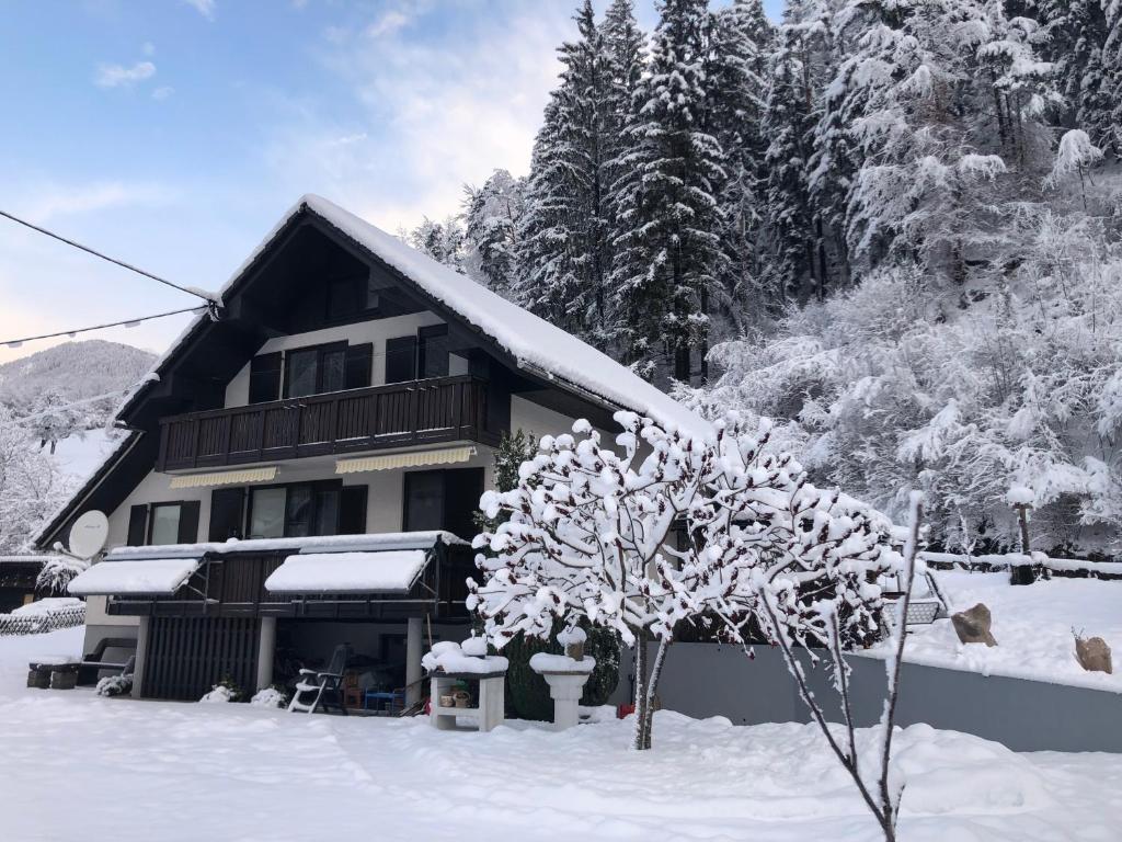 SavaDolinka House photo 3