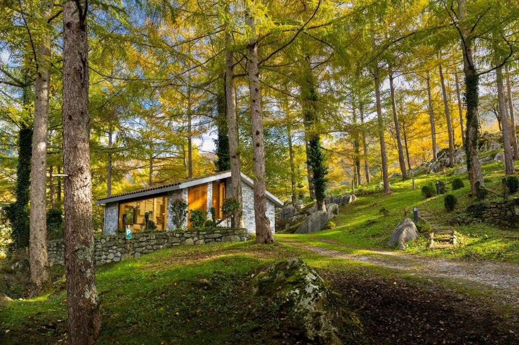 Cabañas Deluxe Basajaun Basoa by IrriSarri Land photo 2