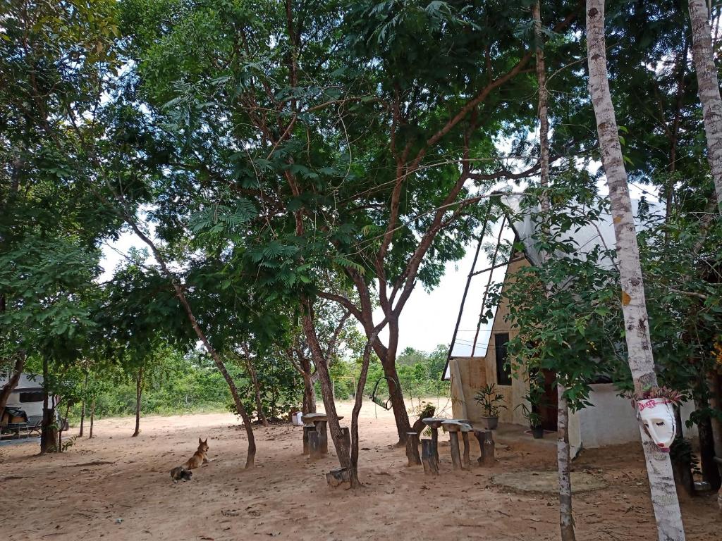 Refúgio Raiz Camping photo 4