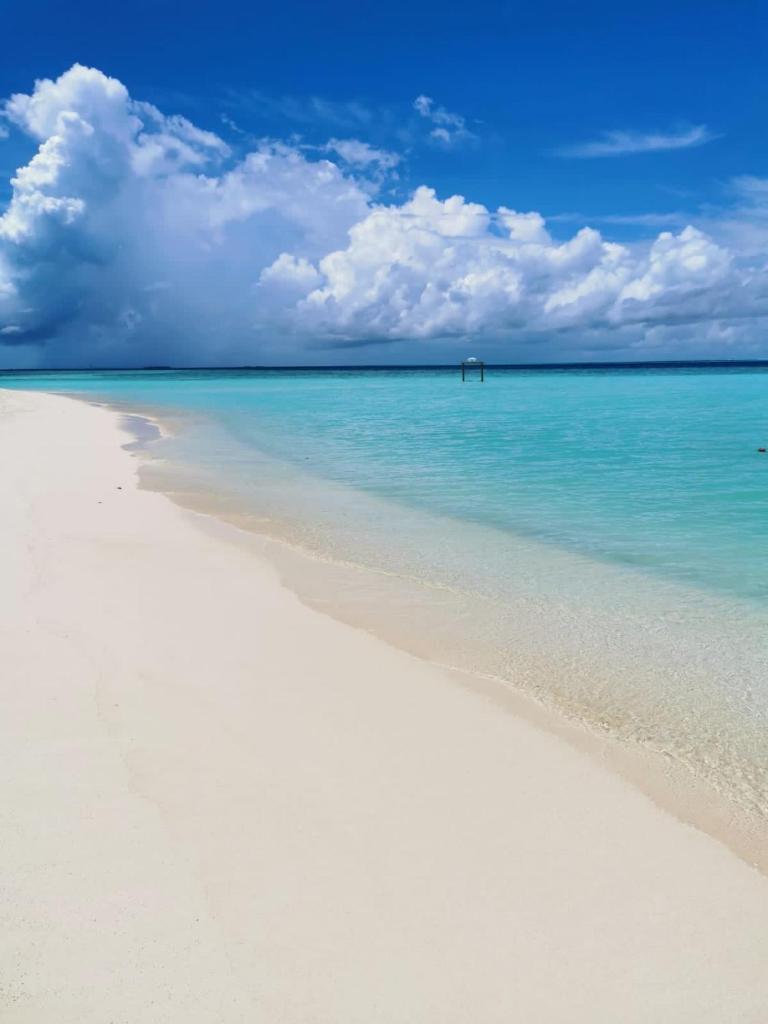 String Wave Maldives photo 2