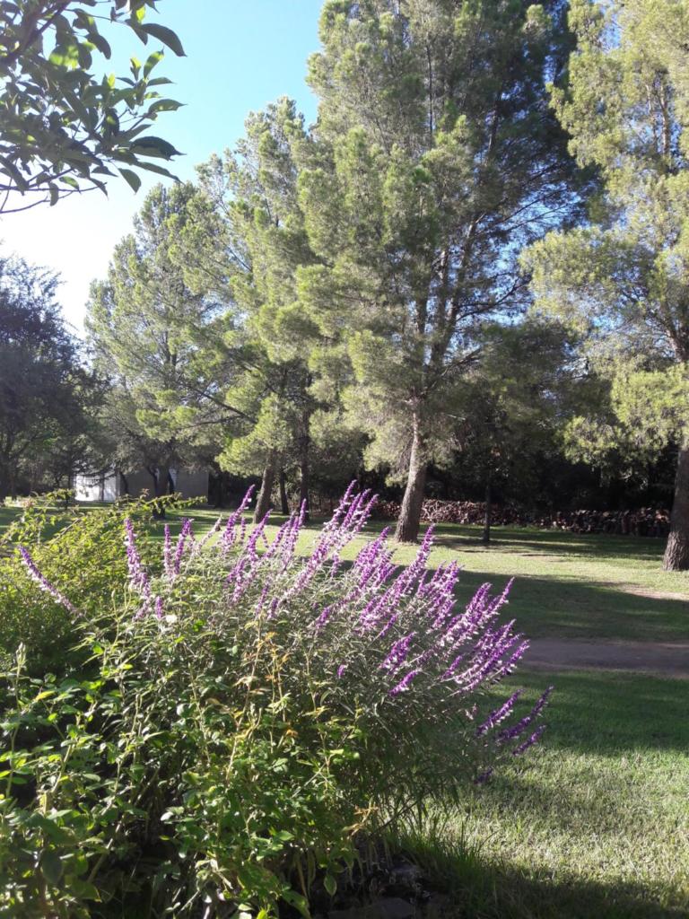 El Campo Departamentos photo 3