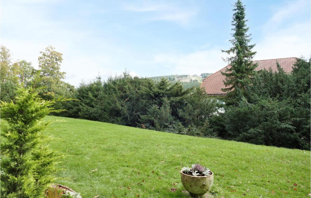 Beautiful Apartment In Hahnenklee With Wifi And 1 Bedrooms photo 1
