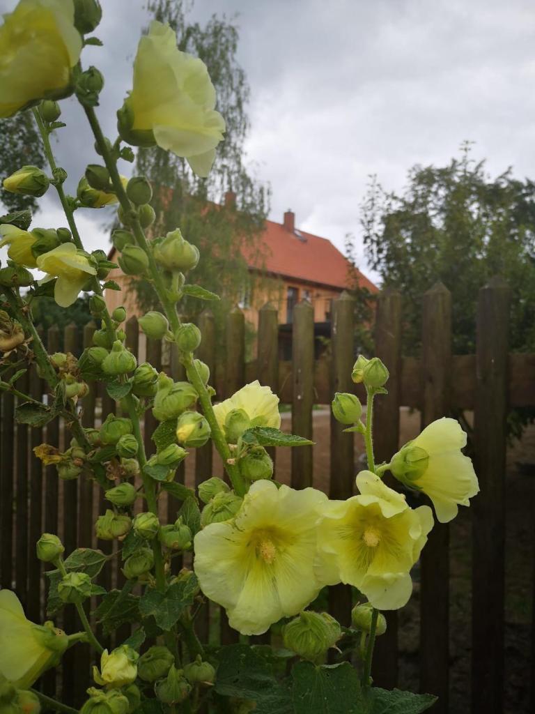 Hof Janne Stapelburg photo 3