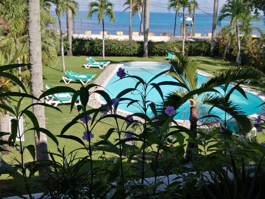 La Dolce Vita Beachfront Hotels, Las Terrenas, Samana photo 4