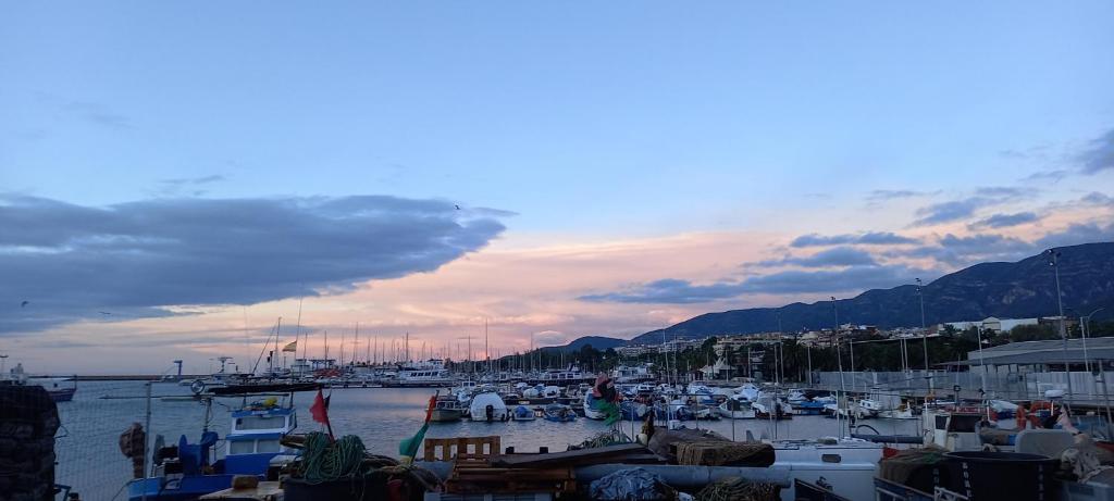 Can Juvimar photo 2