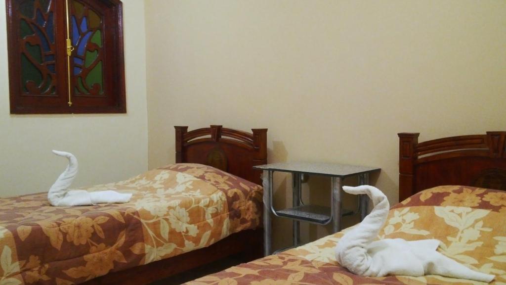 Одноместный (Одноместный номер), Pyramids Luxor Hotel