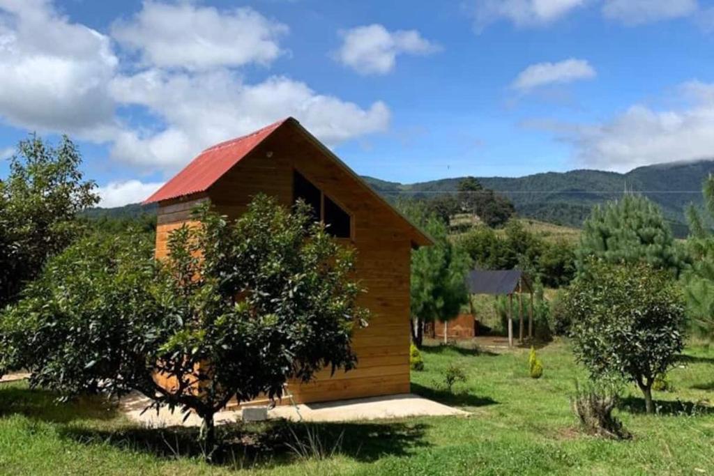 Charming cabin surrounded by nature photo 3