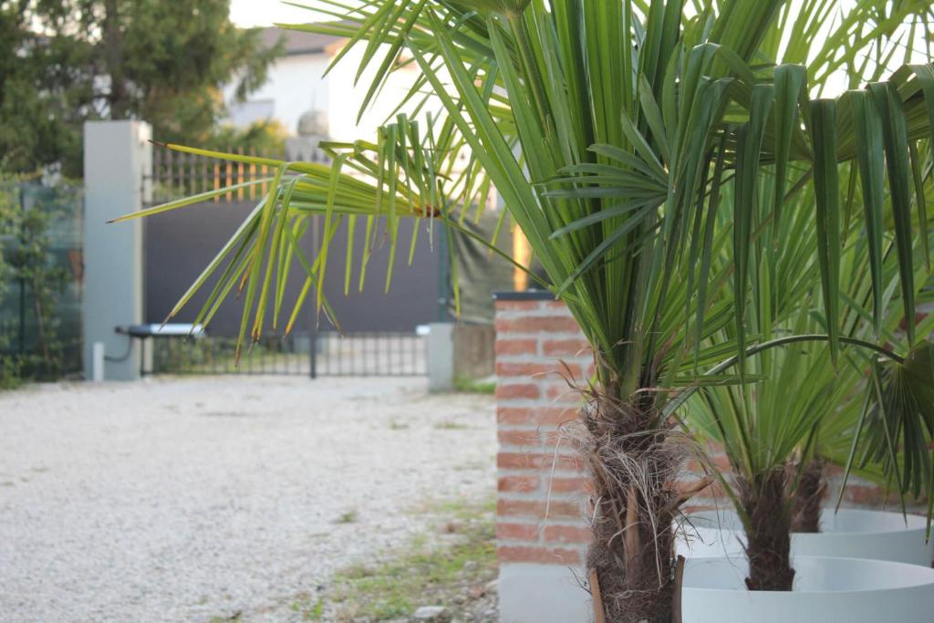 Nuovo B&B WhyNot? a Vicenza photo 2
