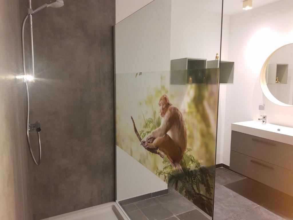 Vakantiewoning 'De Vlaamse Aap' photo 2