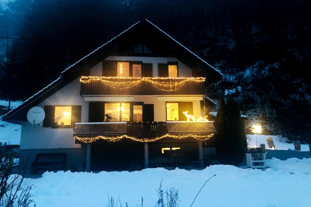 SavaDolinka House photo 2