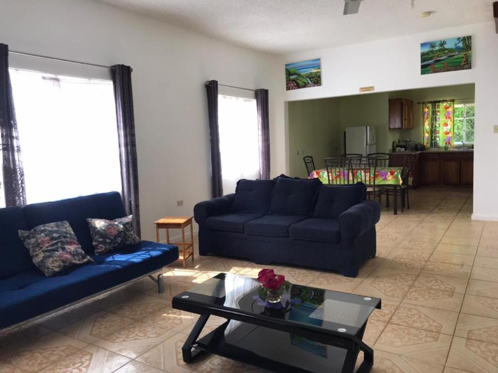 Beautiful 2-Bed Apartment in sunny Jamaica photo 1