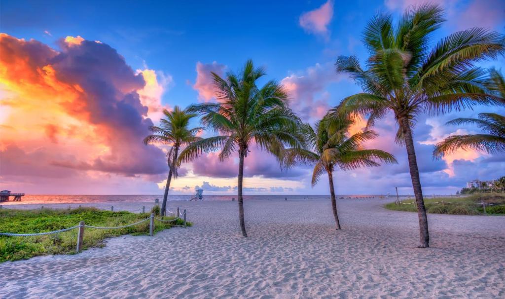 Surf & Sand Hotel image
