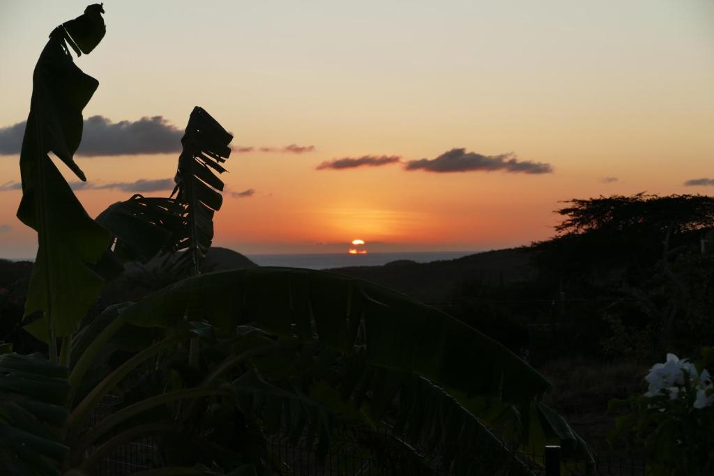 Villa de Mango photo 1