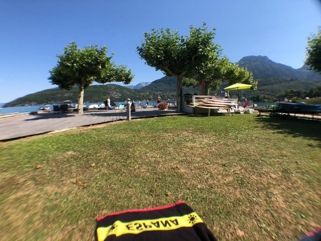 Logement atypique avec vue unique panoramique sur le lac d’Annecy, dans une résidence avec plage et ponton privée sur la commune de Duingt (Rive gauche du lac). photo 1