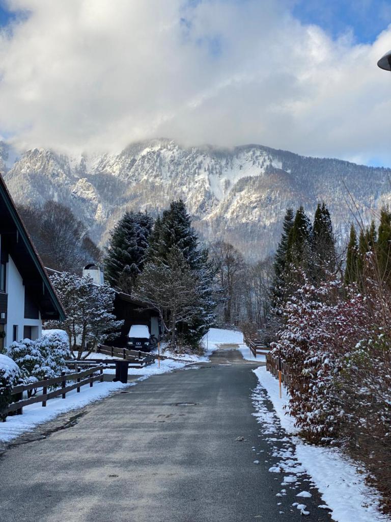 Charmantes Garten-Apartment: Erholung im Chiemgau photo 2