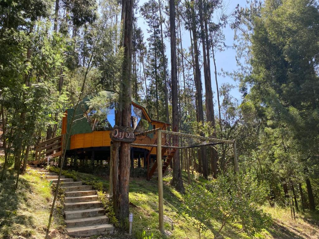 Libélula Glamping con jacuzzi photo 4
